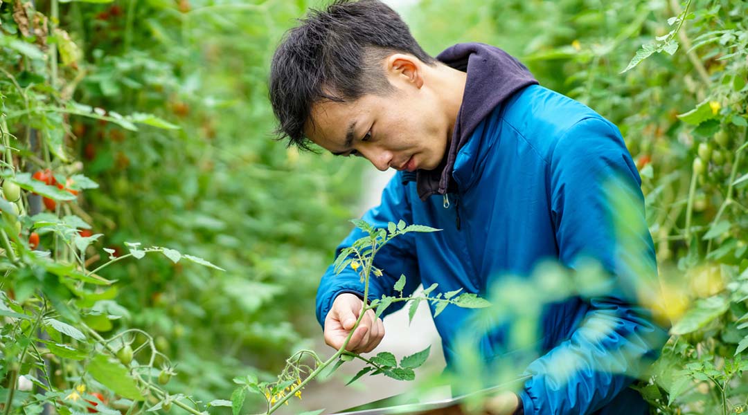 Mid adult man using wireless digital tablet in agriculture