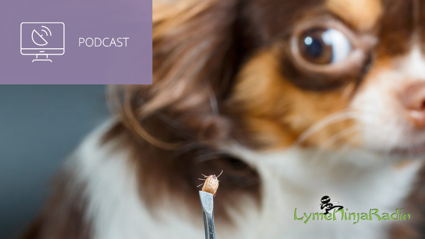 Photo of dog and tick in tweezers with LymeNinja logo and white sans-serif type in upper left on muted lavender background with podcast icon