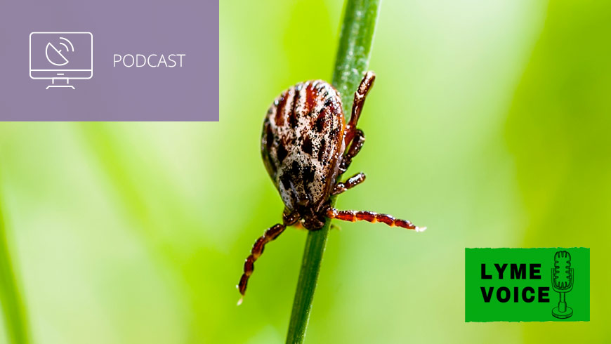 Photo of tick with Lyme Voice logo and white sans-serif type in upper left on muted lavender background with podcast icon