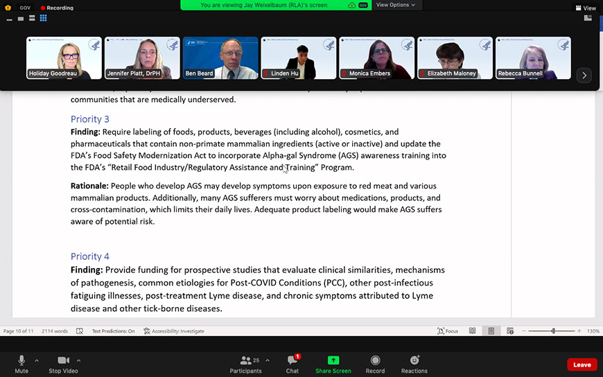 Screen shot of Zoom meeting