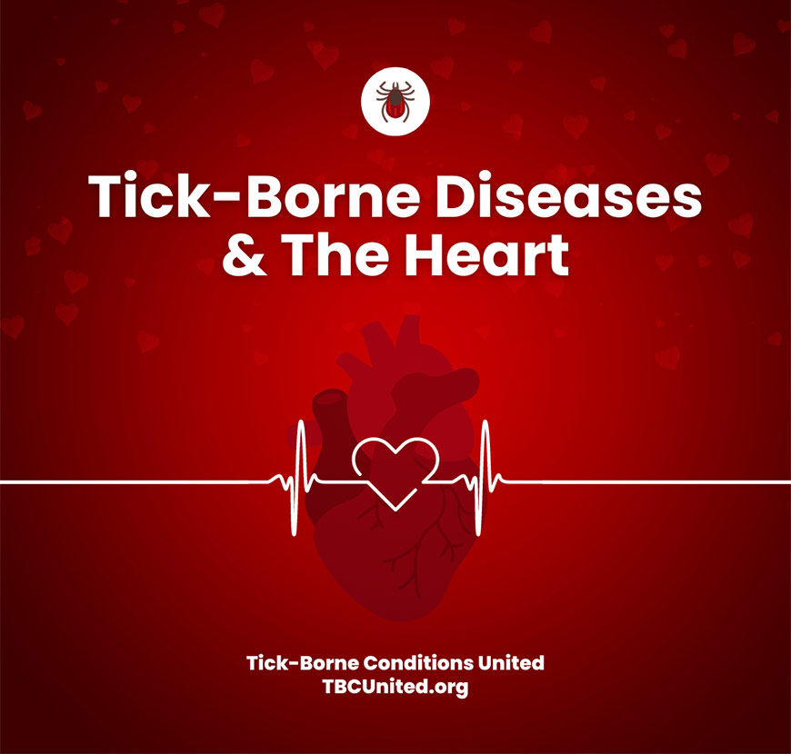 Graphic showing heart illustration with white sans-serif type over red gradient background with hearts