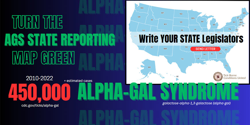 Graphic showing Alpha-Gal U.S. Map