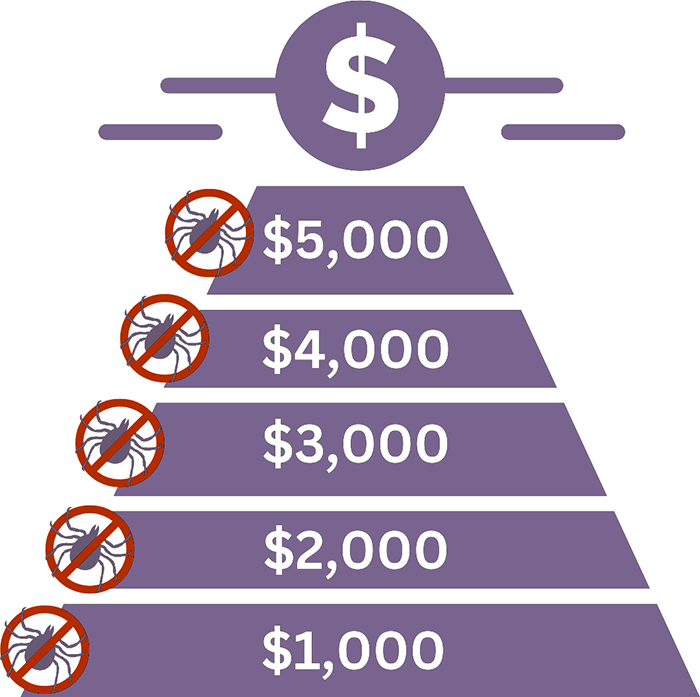 Illustrated graphic showing donation levels in lavender and burnt orange